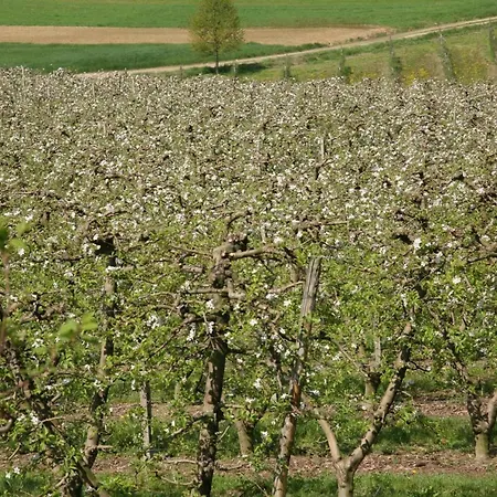 乡村民宿 Aleks Friendly House 卡纳莱