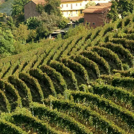 Aleks Friendly House 卡纳莱