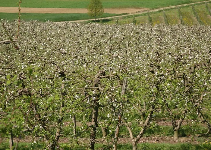 Kır Evi Aleks Friendly House Canale