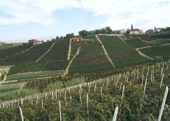 Aleks Friendly House Kır Evi *