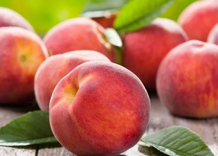 Aleks Friendly House *